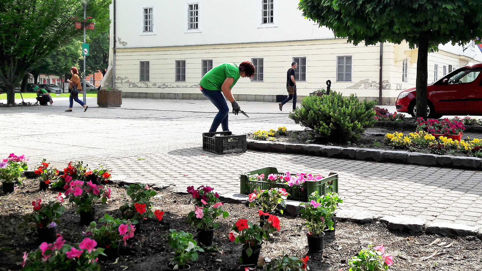 Mesto zakročí proti krádežiam kvetov, avizuje pokuty