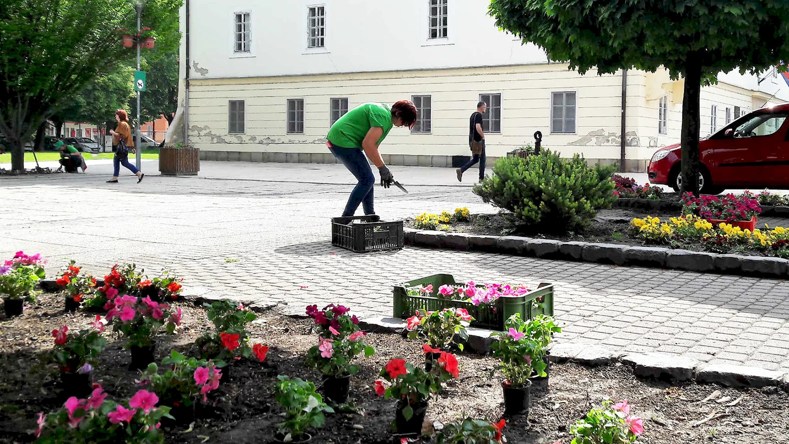 Mesto zakročí proti krádežiam kvetov, avizuje pokuty