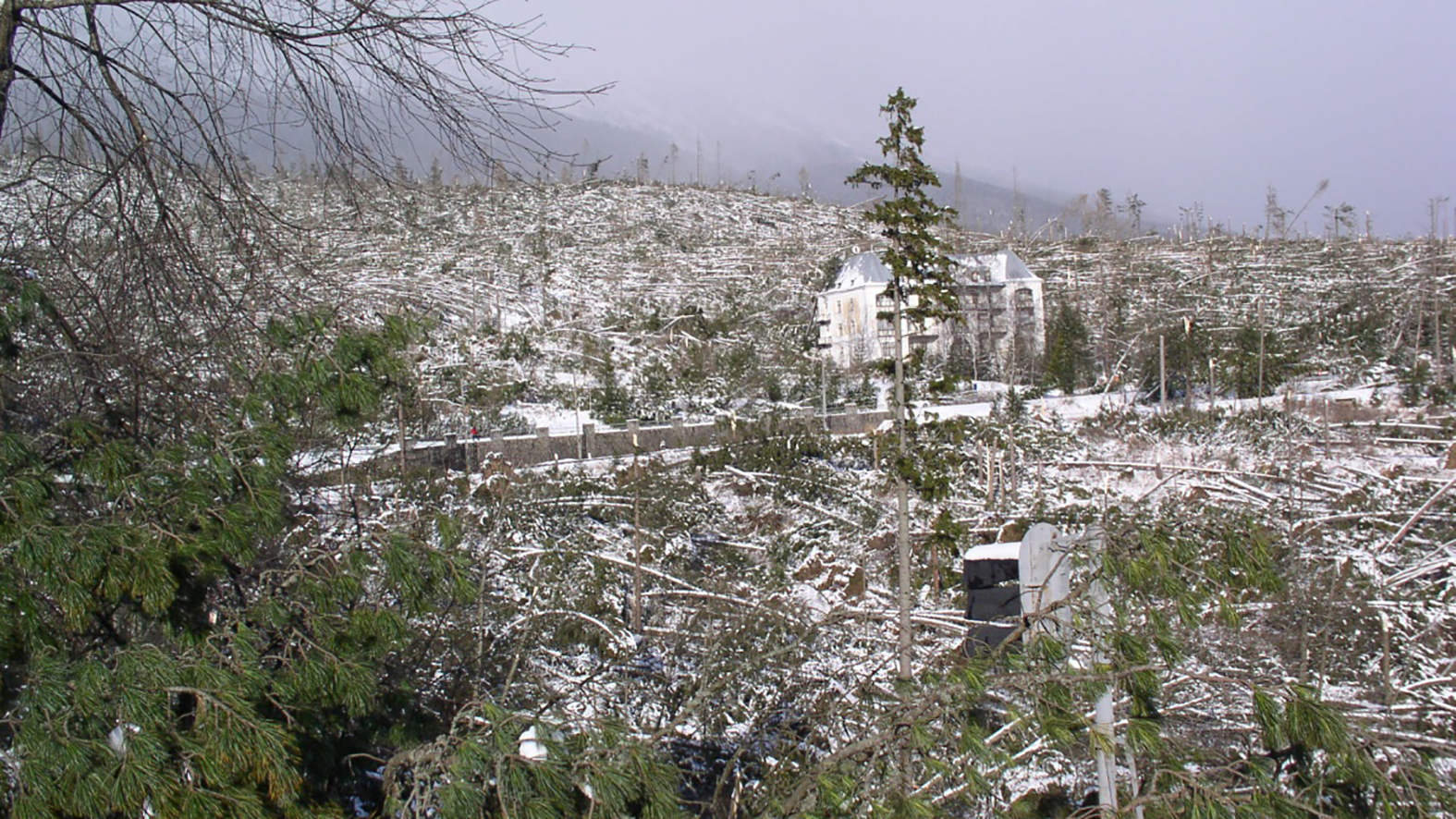 Pred 15 rokmi zasiahla Vysoké Tatry víchrica s tragickými následkami