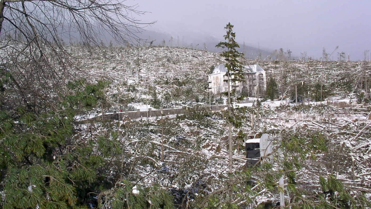 Pred 15 rokmi zasiahla Vysoké Tatry víchrica s tragickými následkami