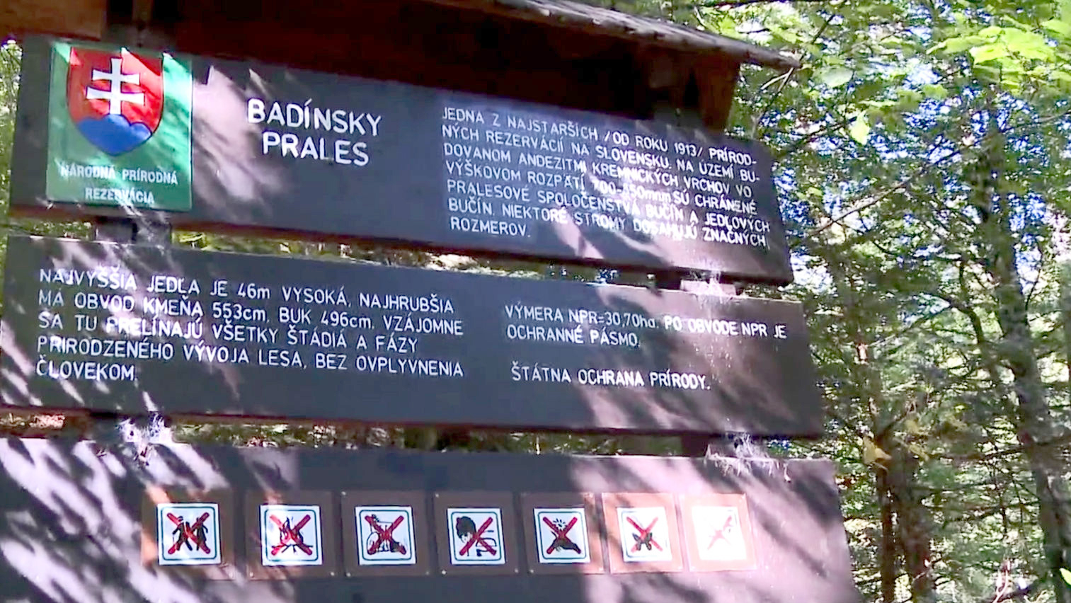 MŽP plánuje čo najskôr predstaviť návrh na vyhlásenie Pralesov v SR