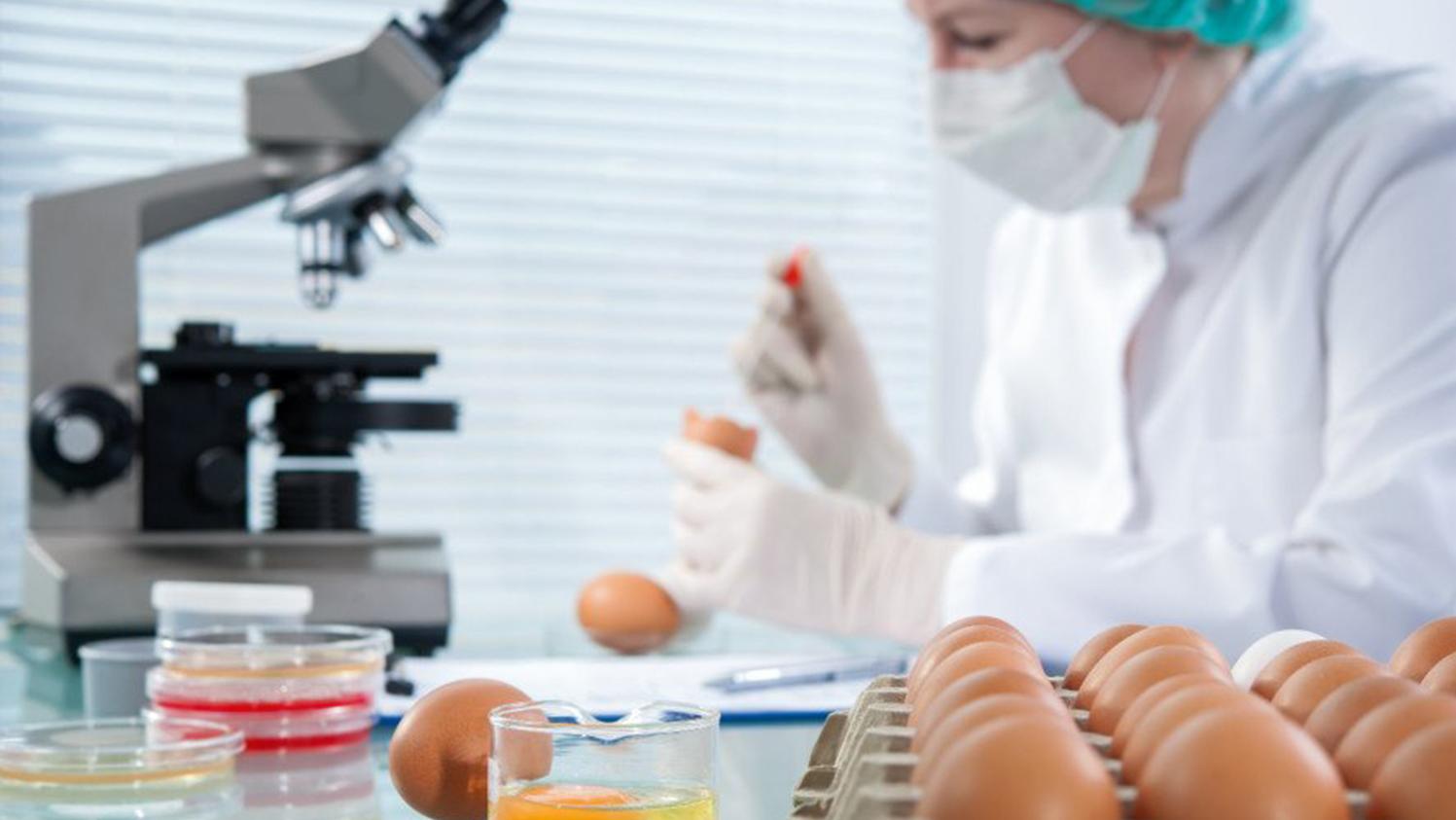 Úrady budú na Zemplíne preverovať bezpečnosť živočíšnych produktov