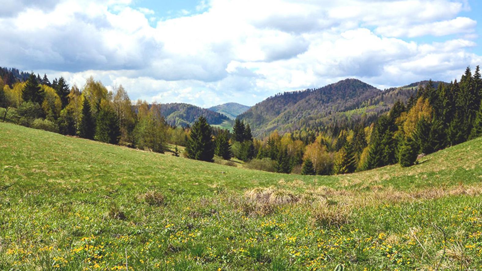 Lesníci chcú z NP Muránska planina spraviť prírodný park