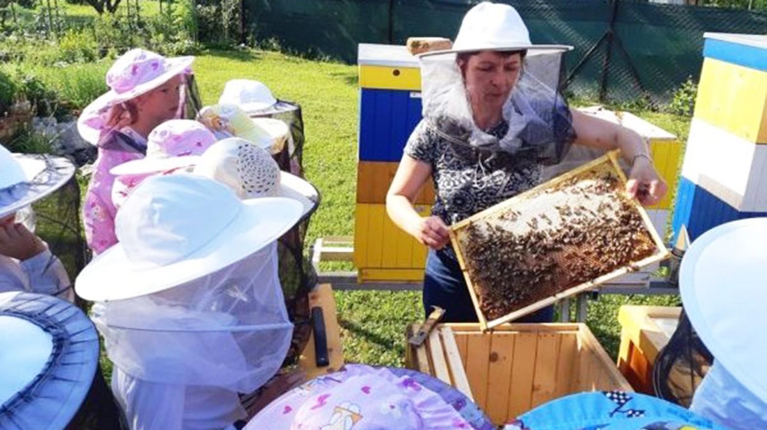 Včeliu záhradu chcú ochranári rozšíriť o interaktívnu výučbu pre deti