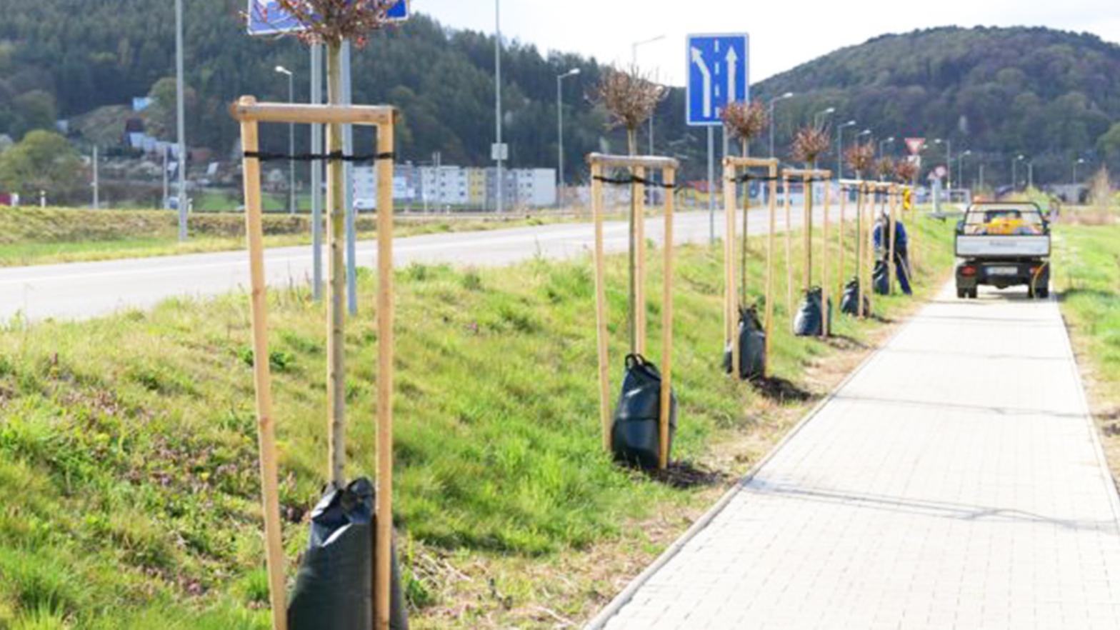 Zavlažovacie vaky zefektívnia prísun vlahy k novovysadeným stromom