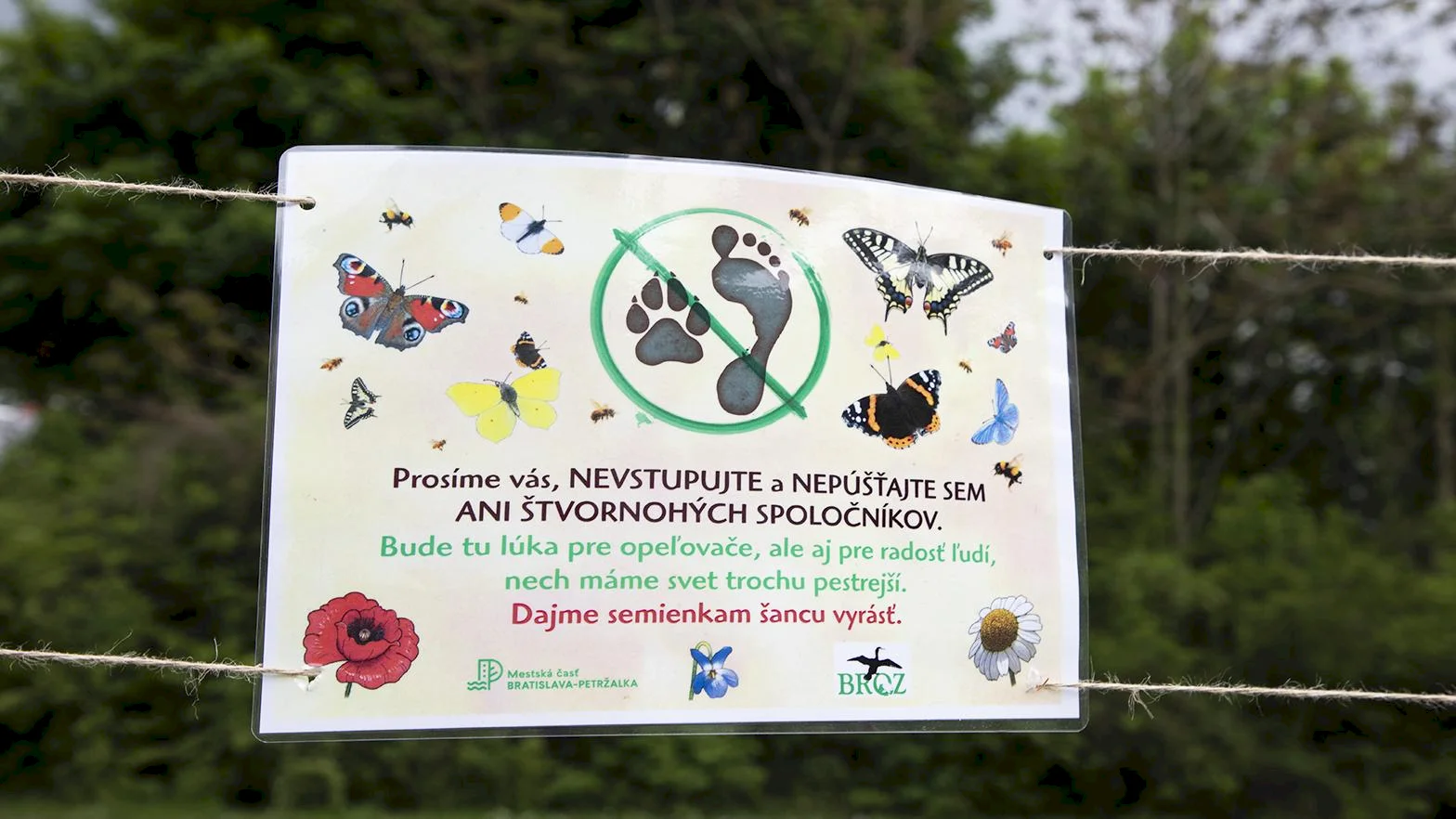 V Petržalke rozkvitnú lúky