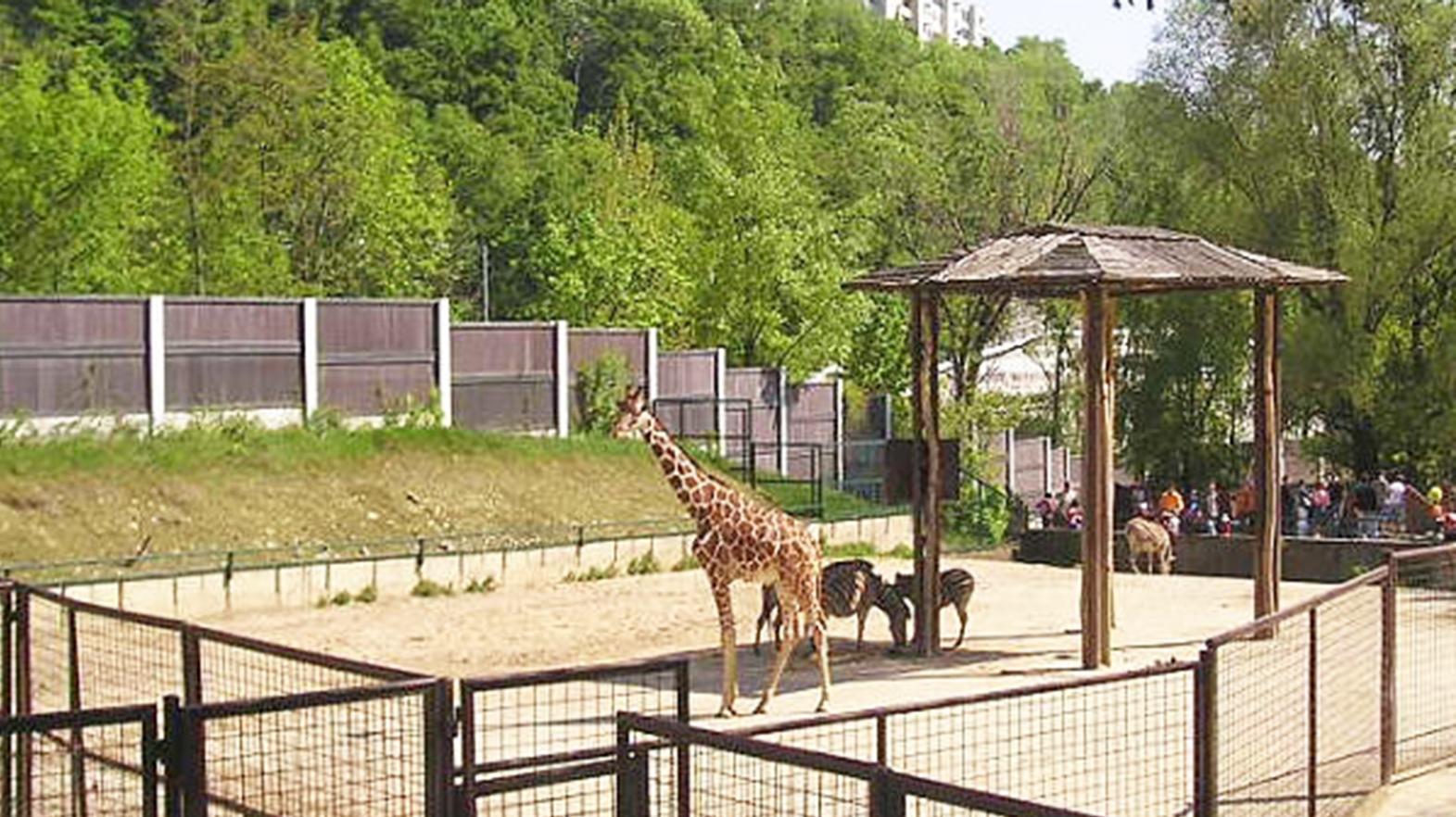 Bratislavskú Zoo otvorili v stredu opäť pre verejnosť