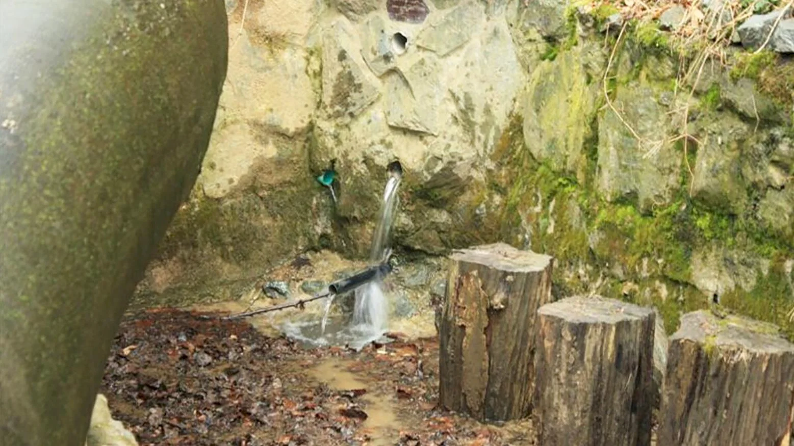 Dobrovoľníci začali s obnovou Kráľovskej studničky pod Pajštúnom