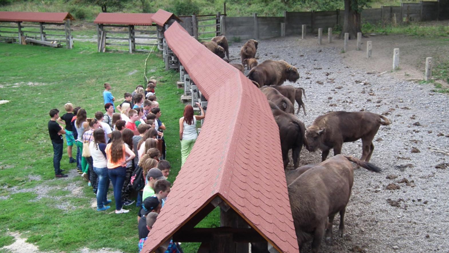 Zubria zvernica je opäť otvorená pre verejnosť