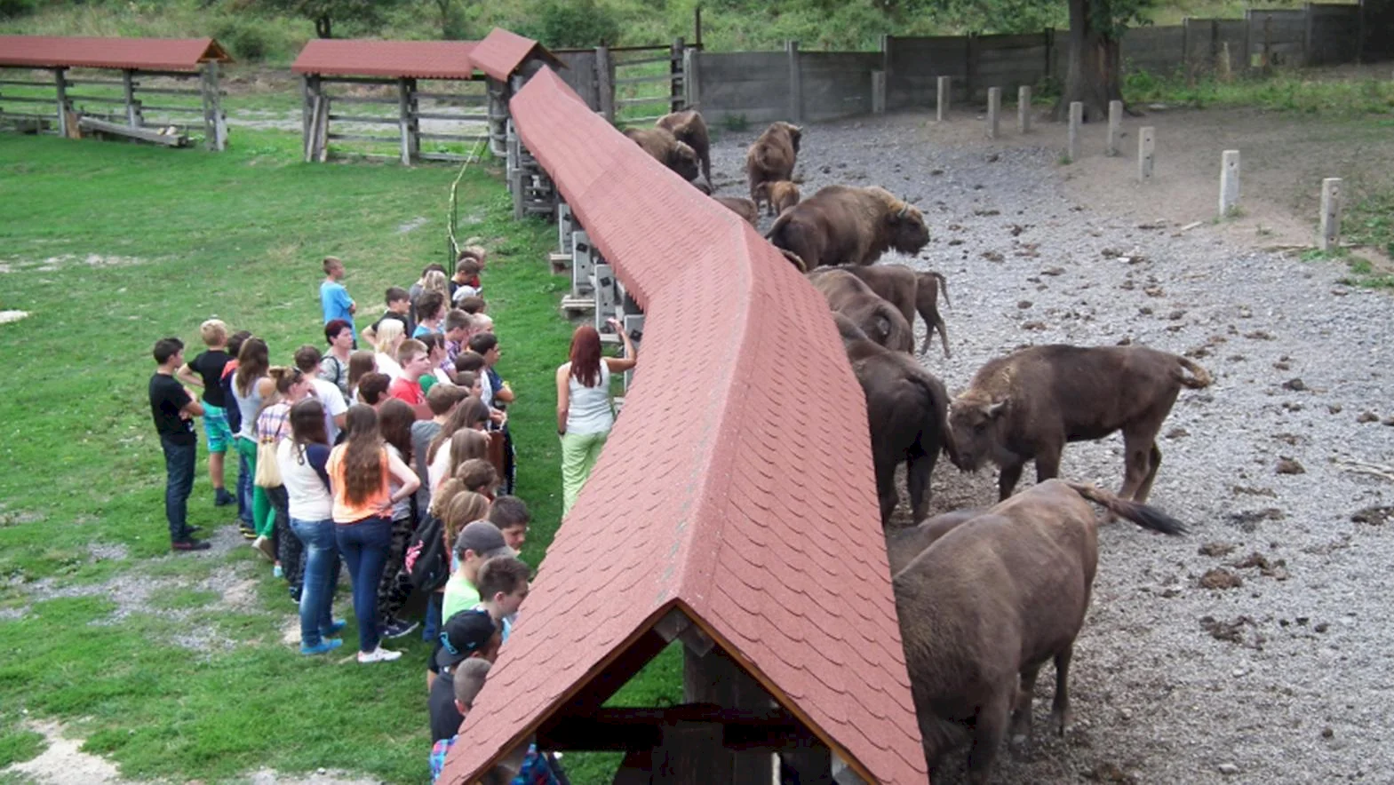 Zubria zvernica je opäť otvorená pre verejnosť