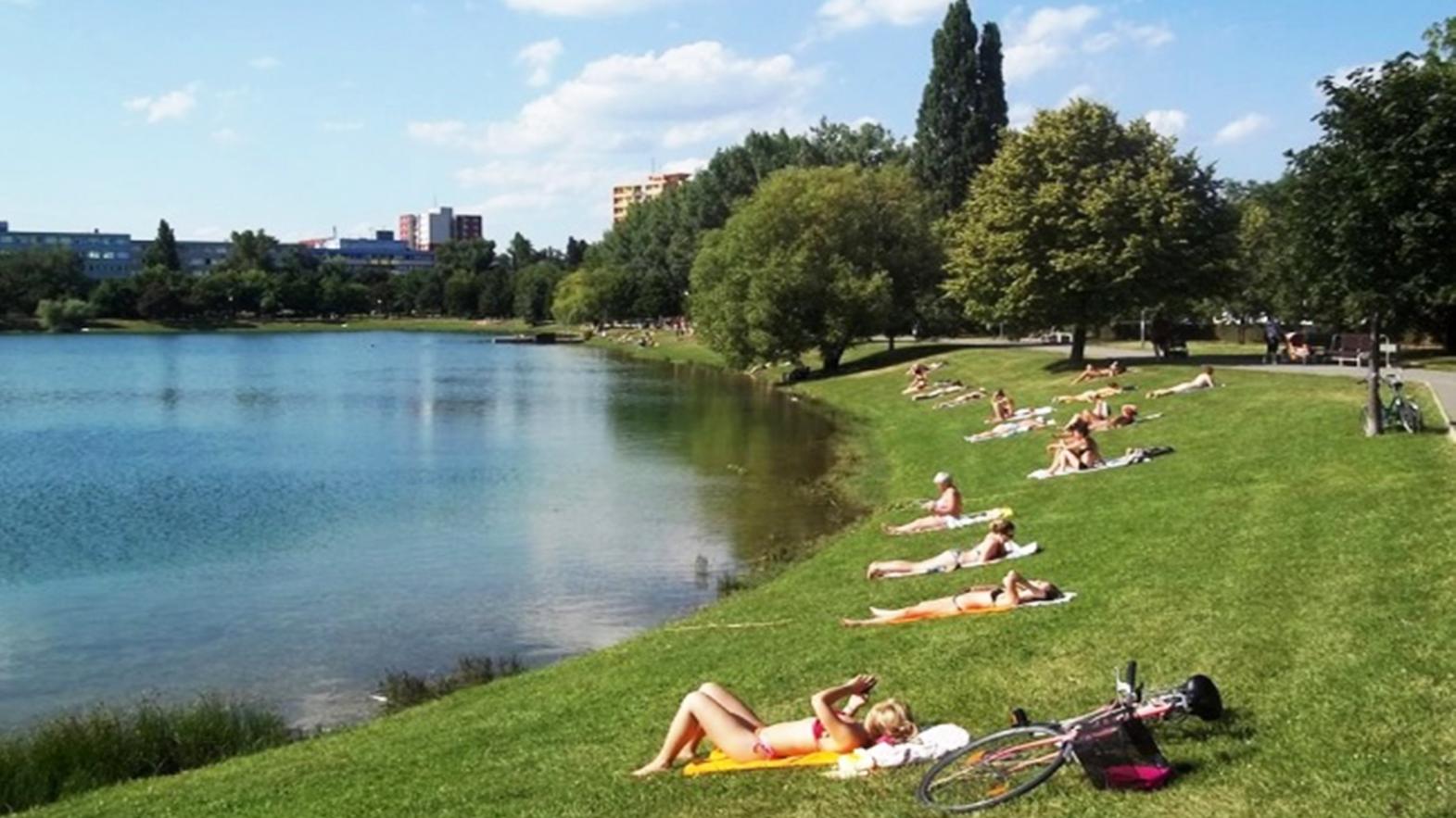 Ružinov kúpi pozemok pri Štrkovci za zhruba 2,2 mil. eur bez DPH