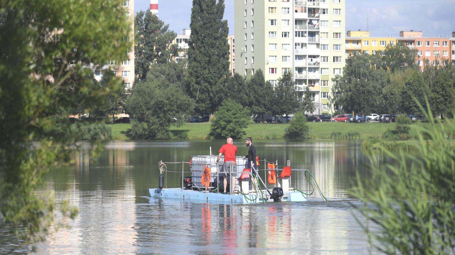 Mesto pokračuje v boji proti šíreniu siníc v jazere
