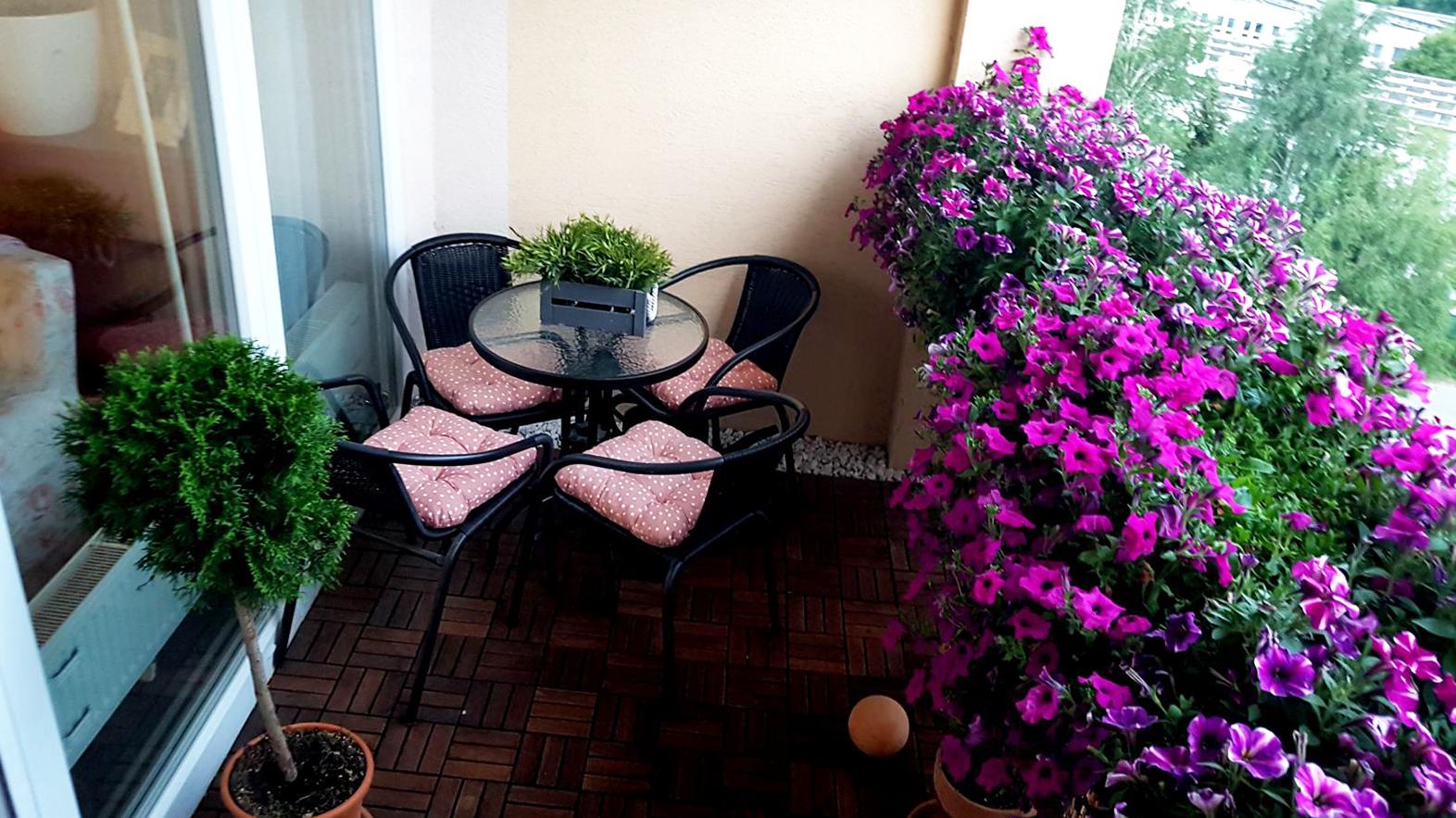 Prešov po štvrtý raz ocení najkrajšie predzáhradky a balkóny