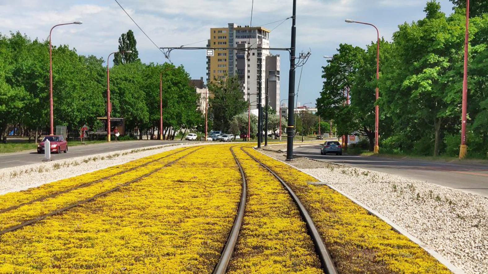 Mesto rieši dunenie na obnovenej časti Karlovesko-dúbravskej radiály