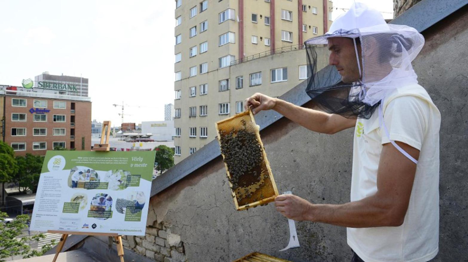 V Košiciach pribudli prvé firemné mestské úle