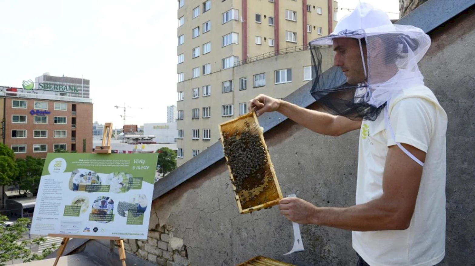V Košiciach pribudli prvé firemné mestské úle
