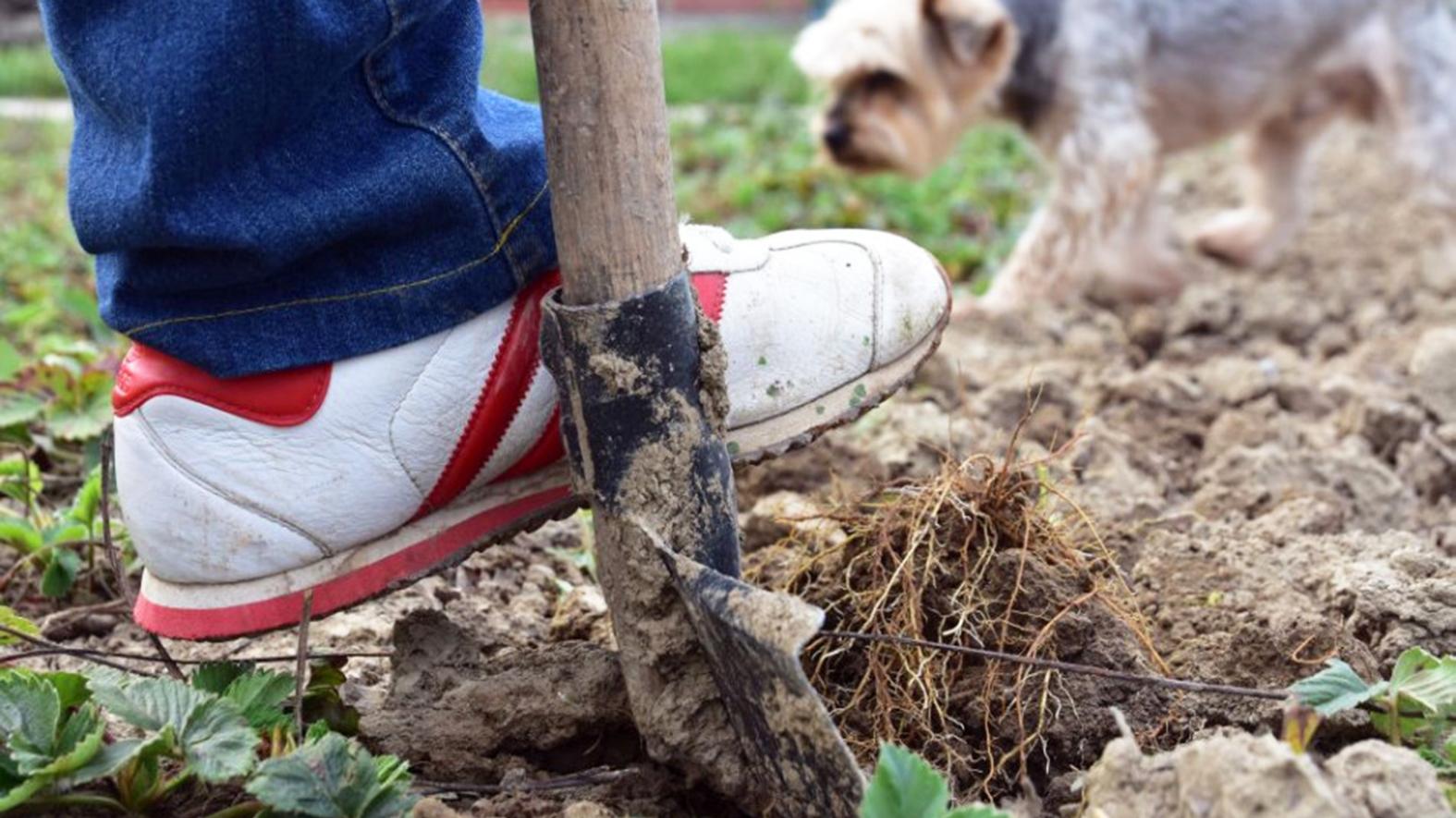 Žiar nad Hronom sa pustí do projektu záhradkárskej oblasti