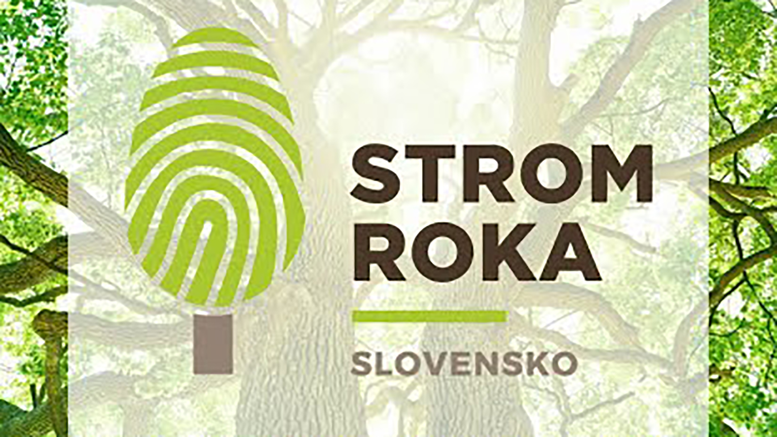 Za Strom roka 2020 sa dohlasovalo, víťazný strom zverejnia koncom októbra