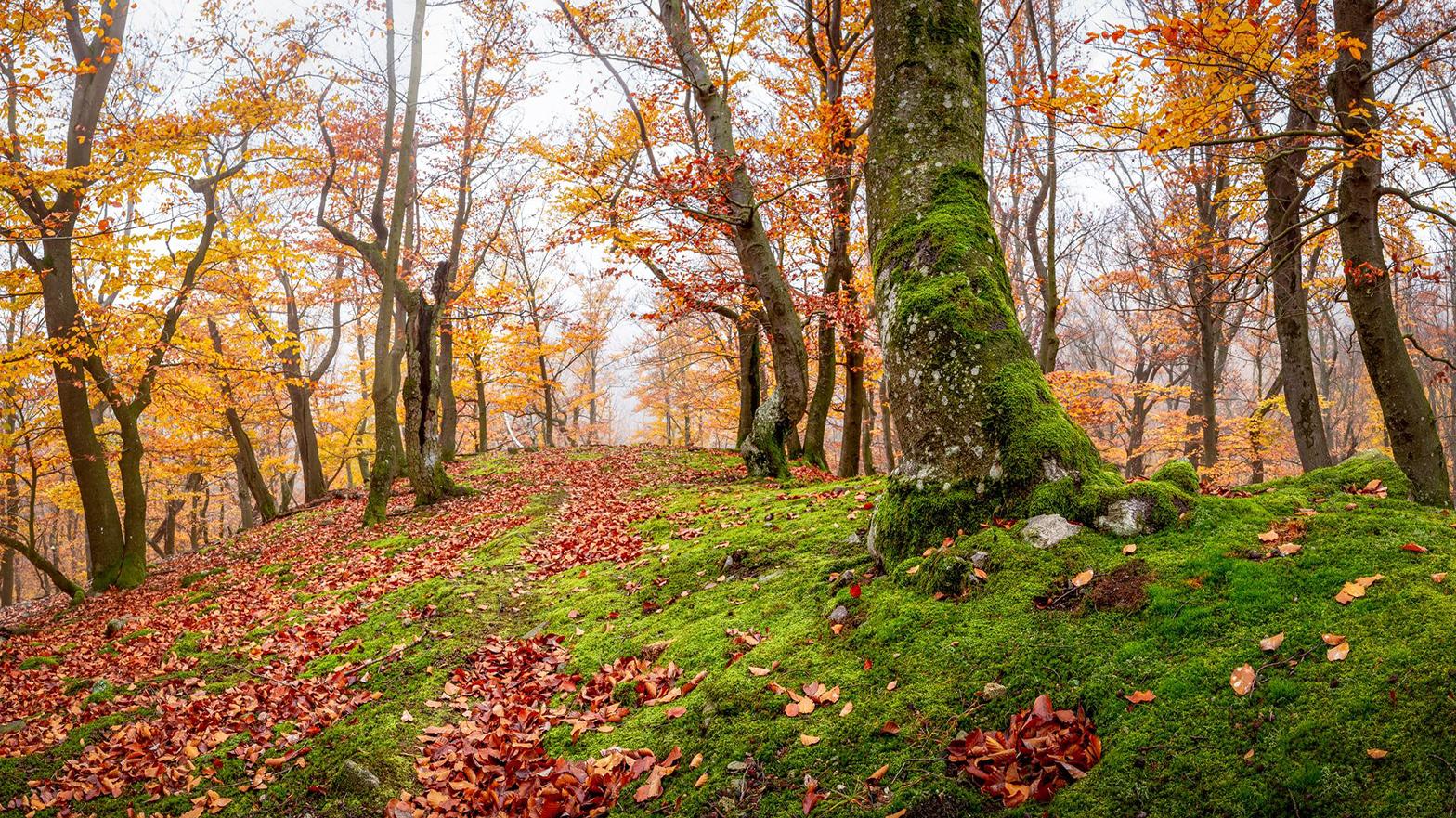 SAŽP otvorila 5. kolo súťaže pre žiakov škôl Envirospektrum