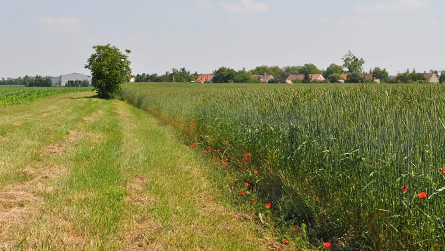 Agrorezort vníma krajinu v jej jedinečnej celistvosti