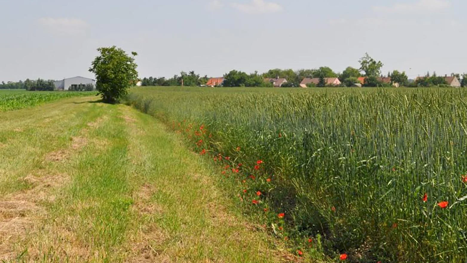 Agrorezort vníma krajinu v jej jedinečnej celistvosti