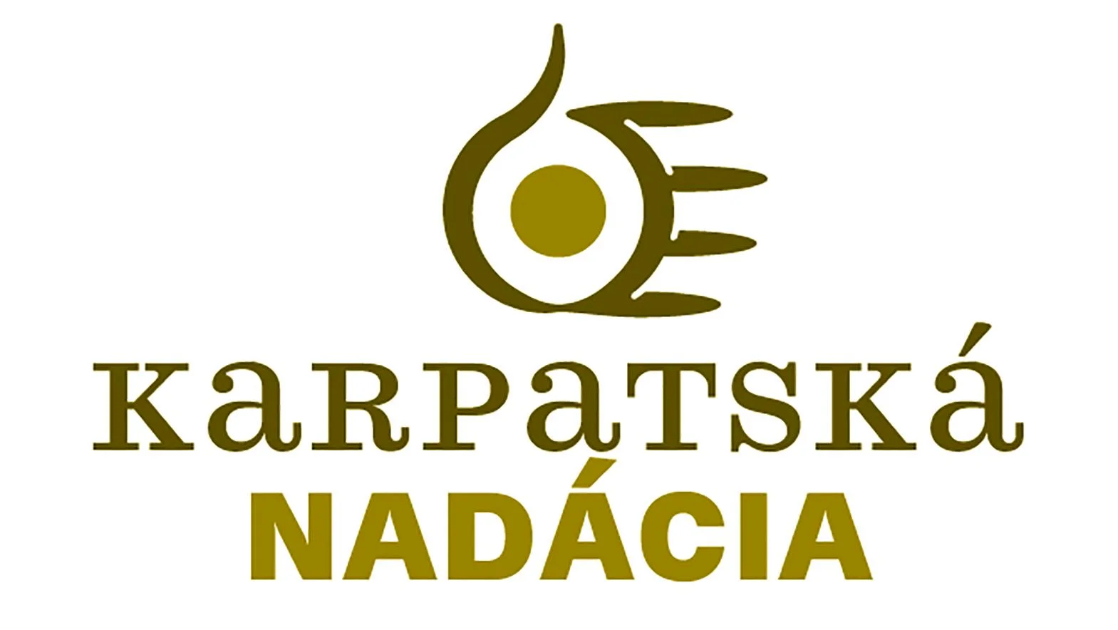 Karpatská nadácia poskytne podporu v programe Škola napriek korone
