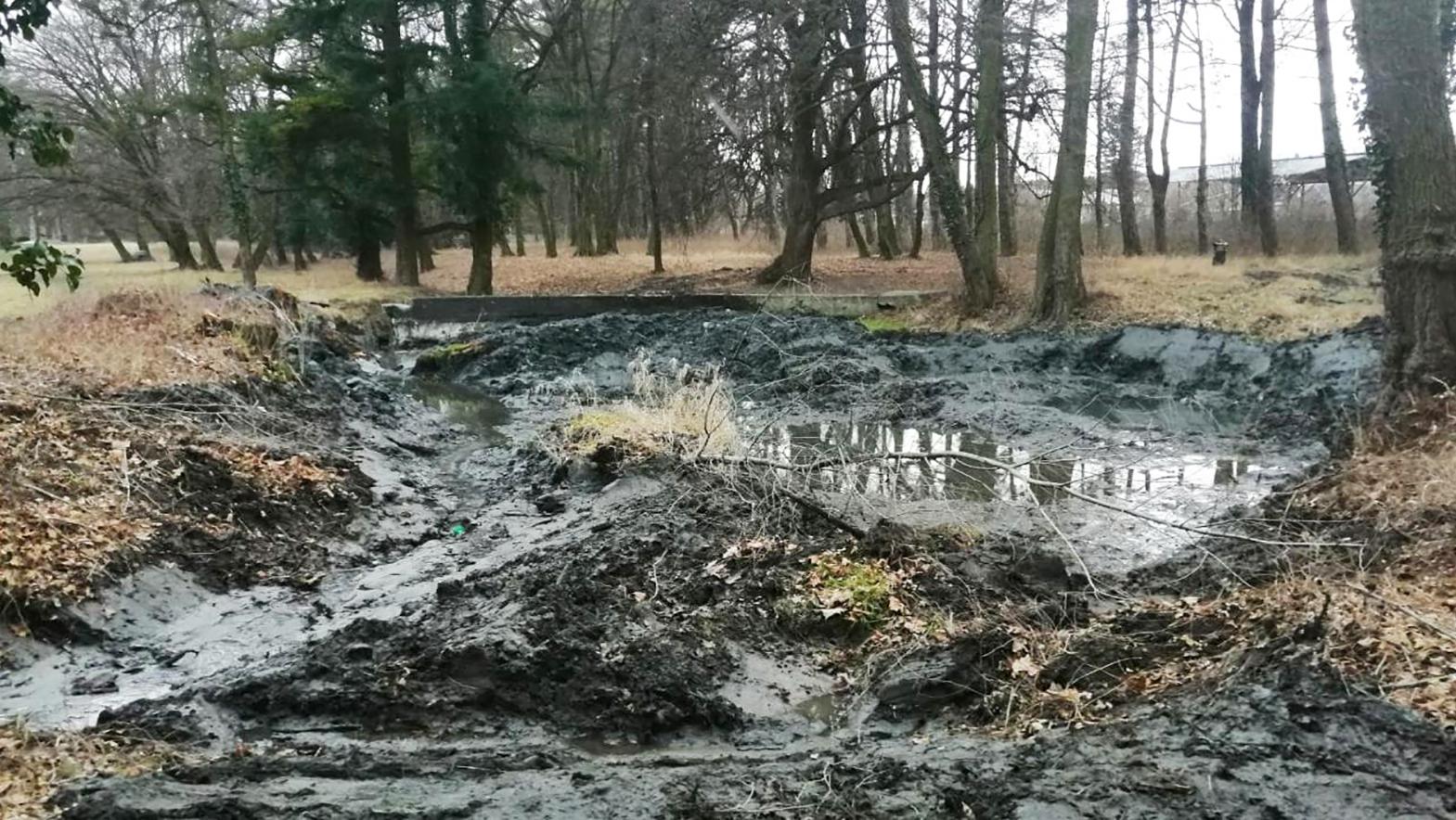 Stupava začala s revitalizáciou Pivovarského rybníka v parku
