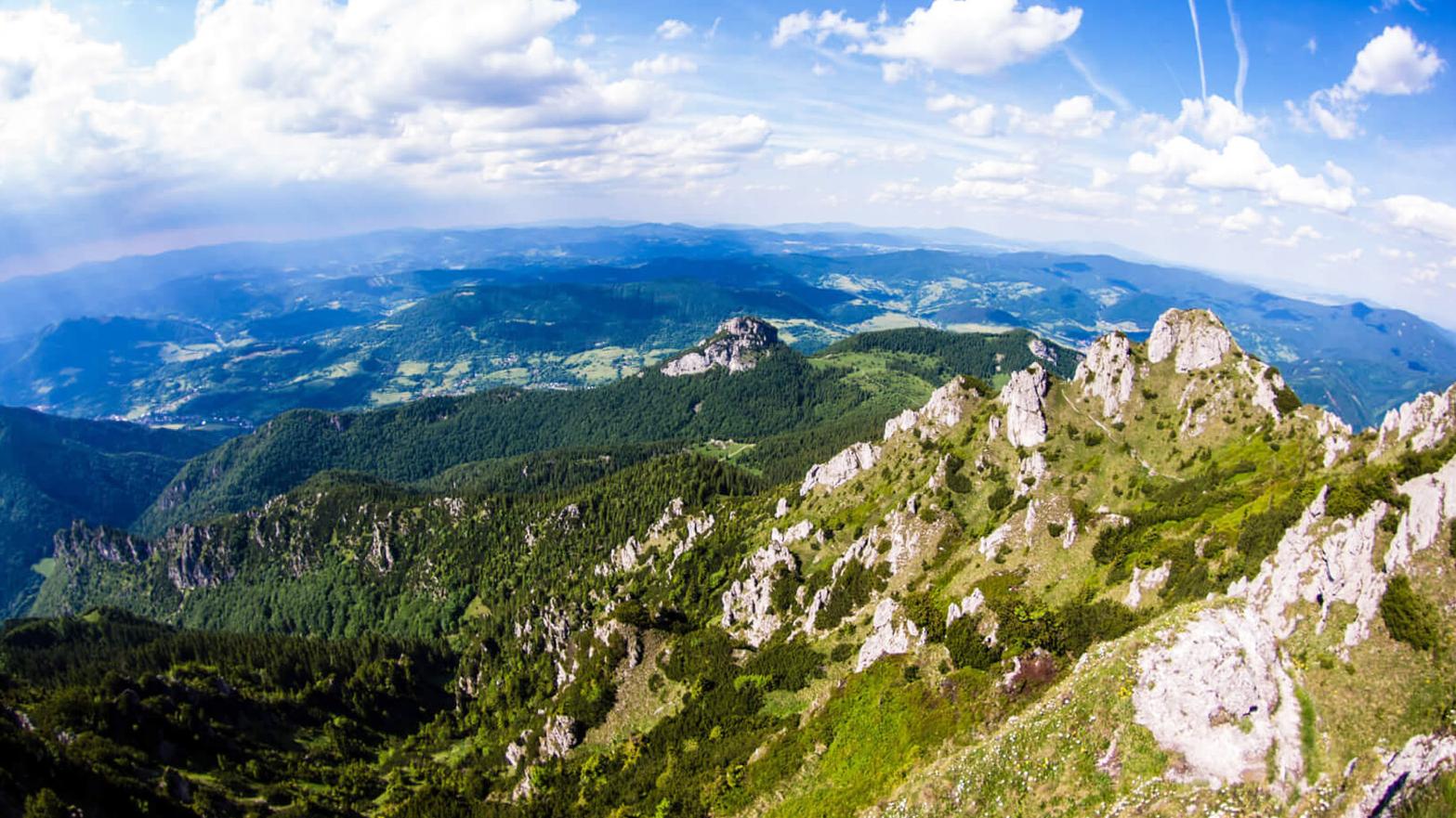 V NP Malá Fatra sa zvýši bezzásahovosť na 280,14 hektára