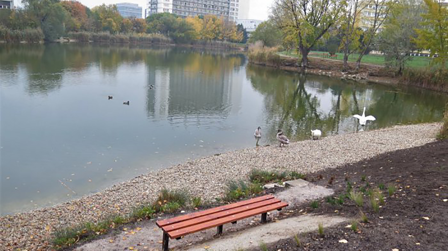 Mesto plánuje obnovu okolia jazera Rohlík i parku na Mudrochovej