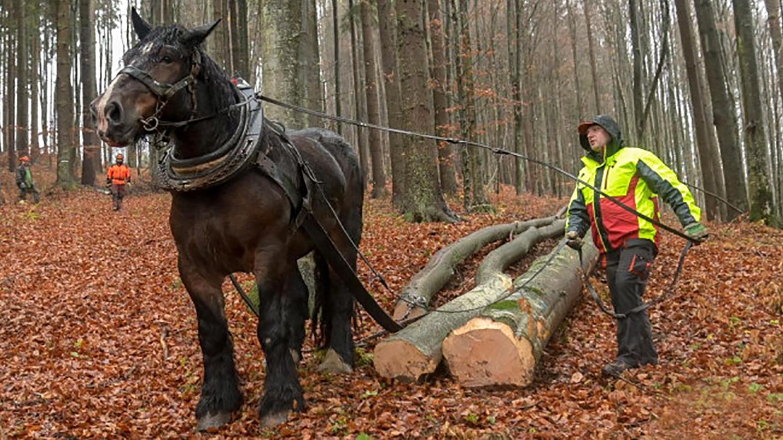 Odmietame vývoj, v ktorom sa slovenský vidiek postupne stáva skanzenom!