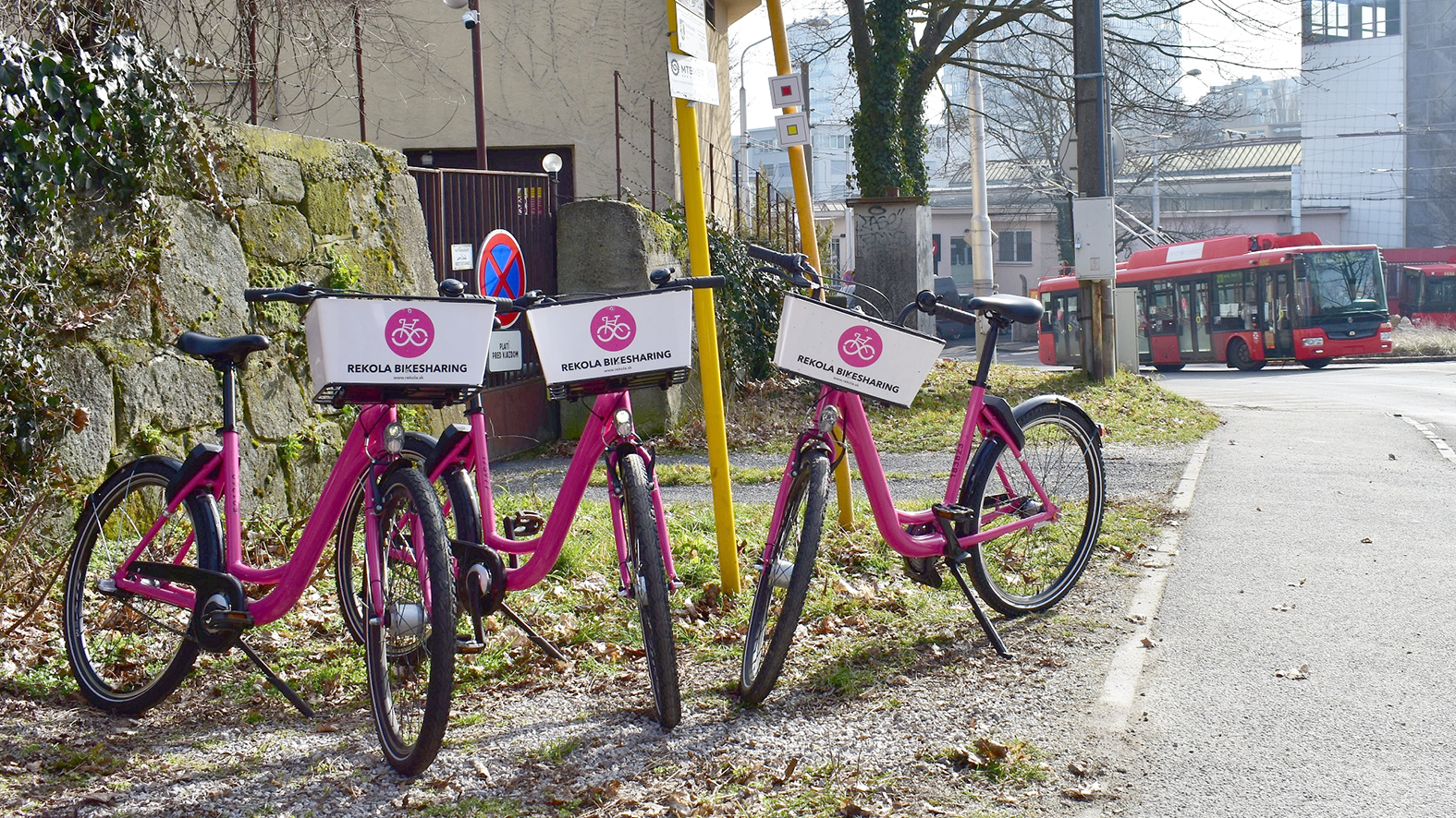 Rekola prichádza s projektom lesného bikesharingu v lesoparku