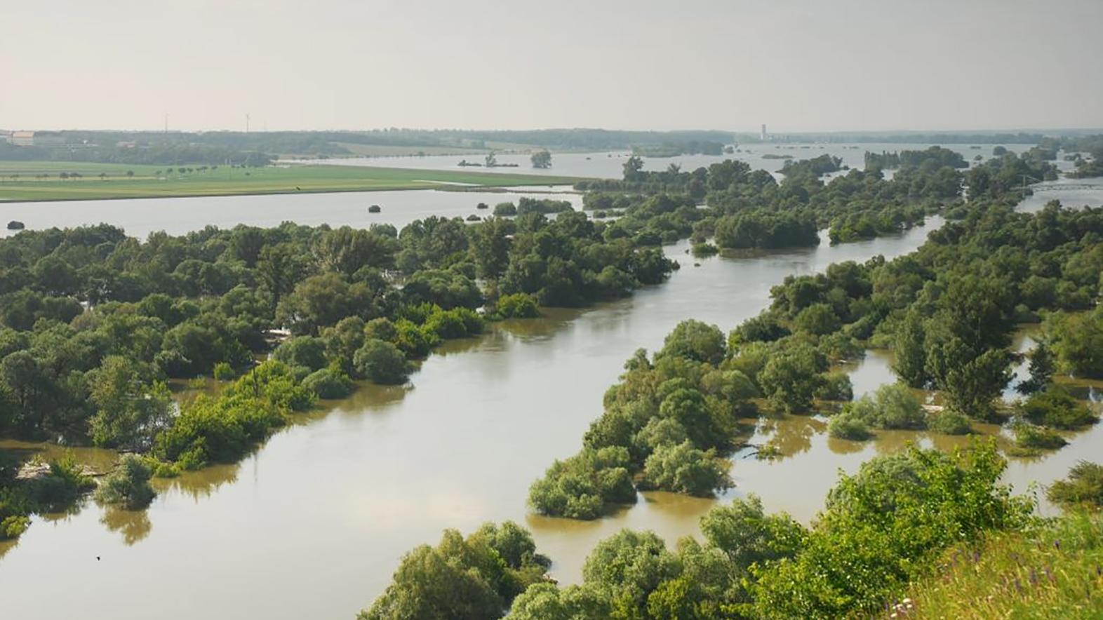 Devínska N. Ves pripomína význam Devínskeho alúvia Moravy