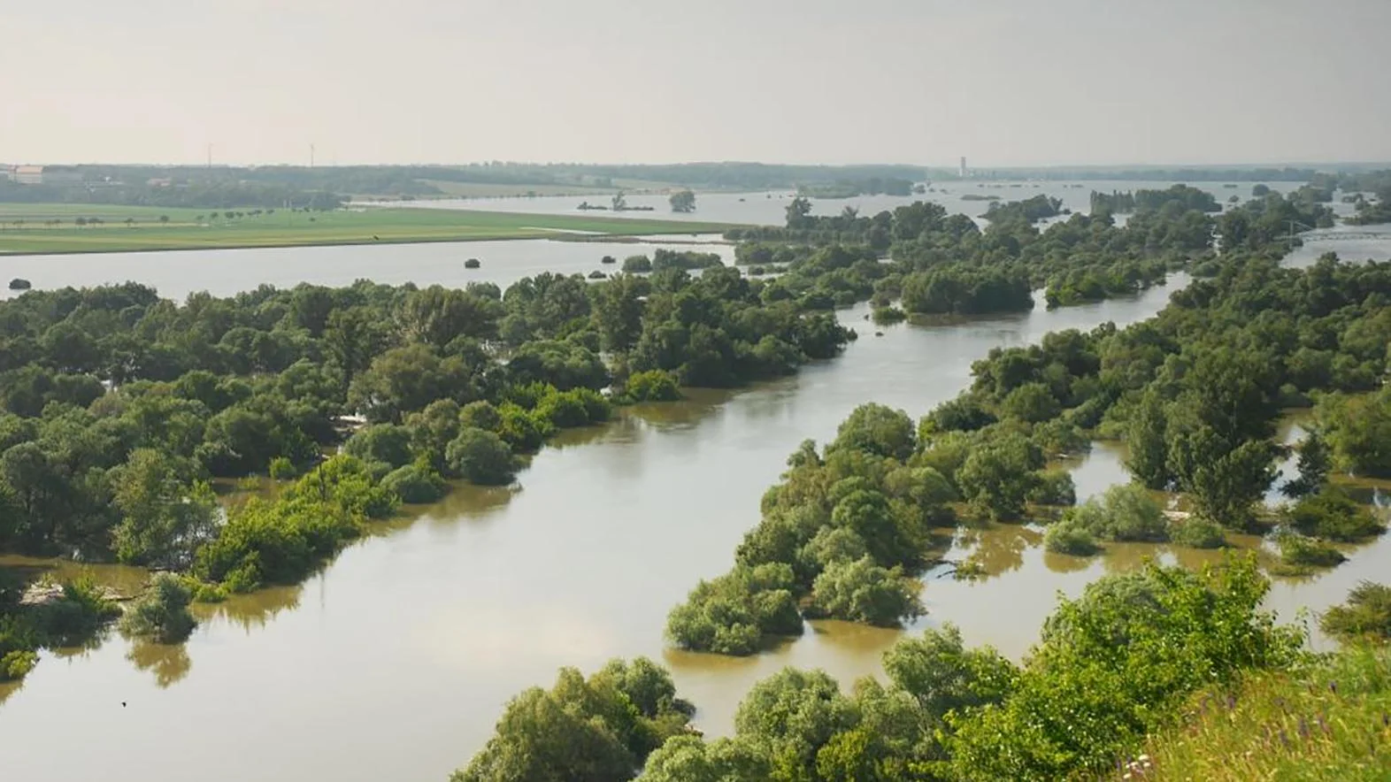 Devínska N. Ves pripomína význam Devínskeho alúvia Moravy