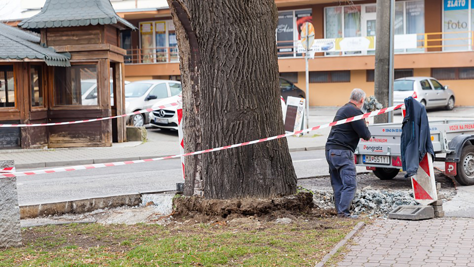 Stromom v centre Malaciek sa ľahšie dýcha