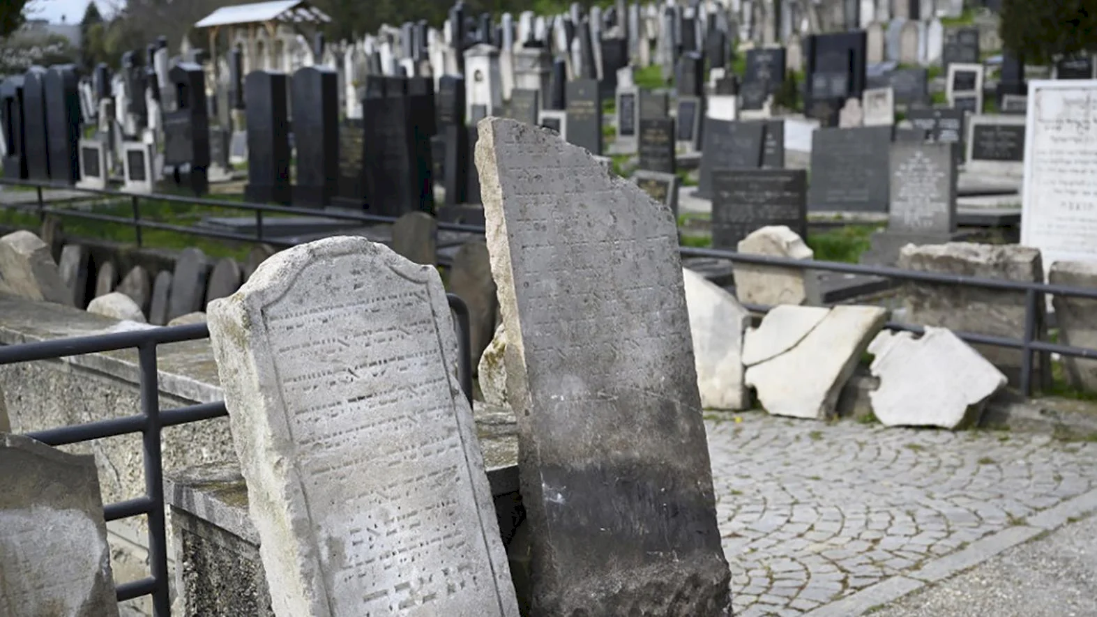 Projekt revitalizácie zelene ortodoxného cintorína v Bratislave