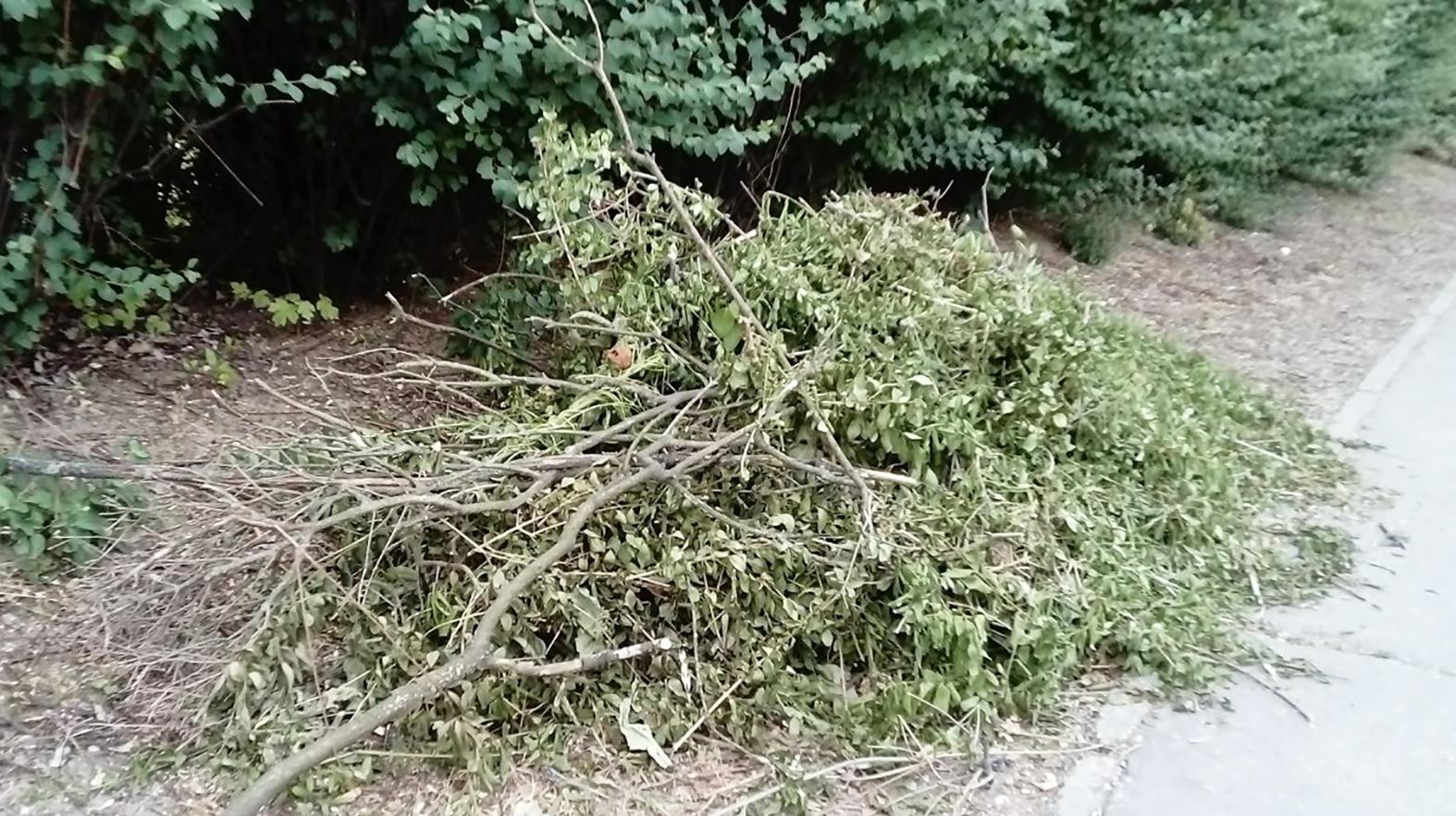 Petržalka ponúka pomoc pri odvoze zeleného odpadu po brigádach