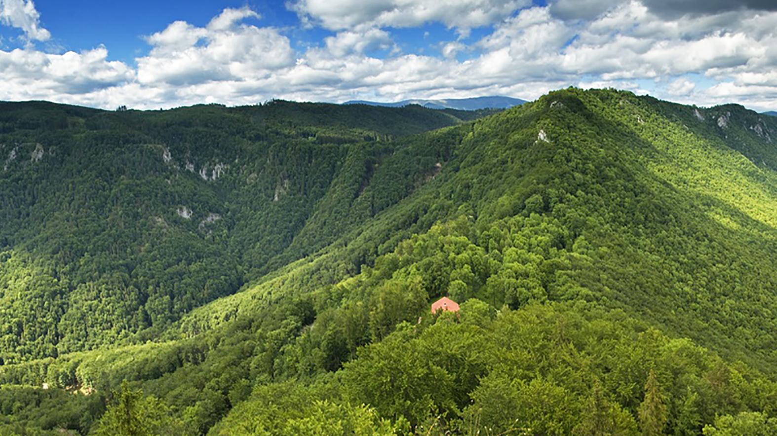 KSK chce realizovať projekt na obnovu biodiverzity v lesoch na Gemeri a Spiši
