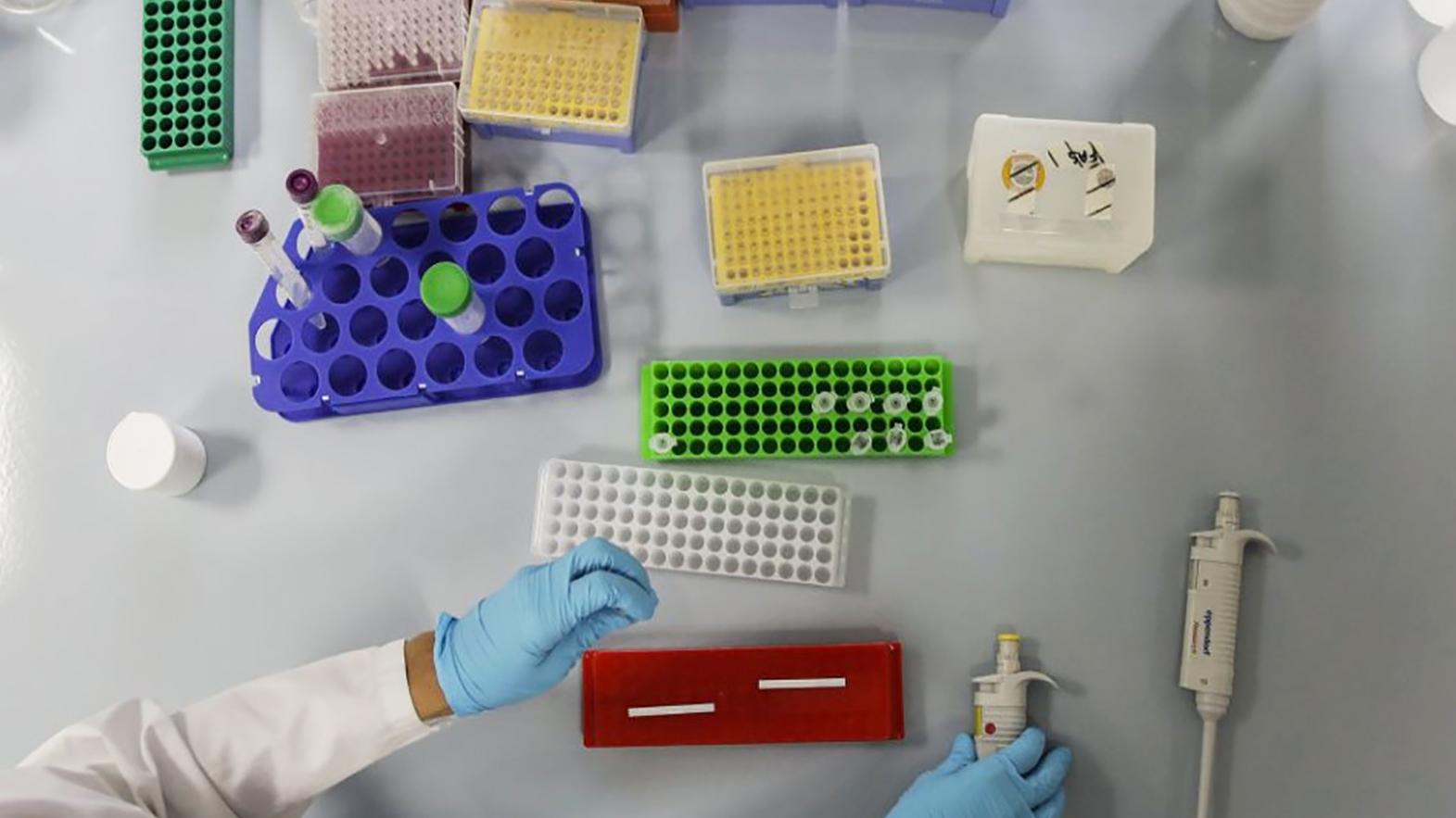 Slovenská akadémia vied organizuje Letnú školu mladých vedcov 2021