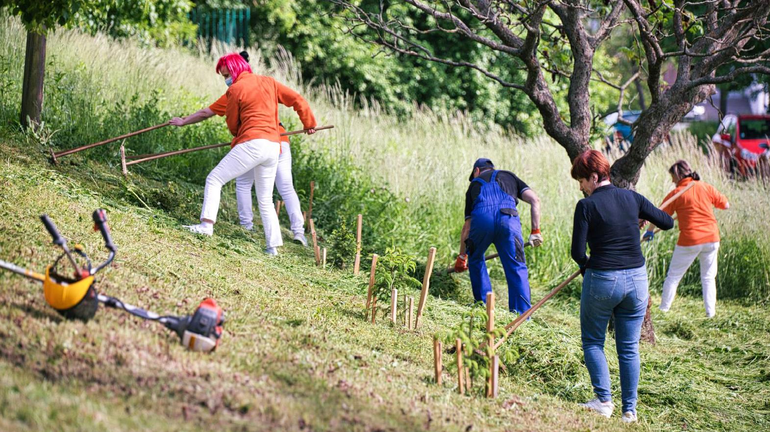 Do čistenia Prešova sa zatiaľ zapojilo takmer 1000 dobrovoľníkov