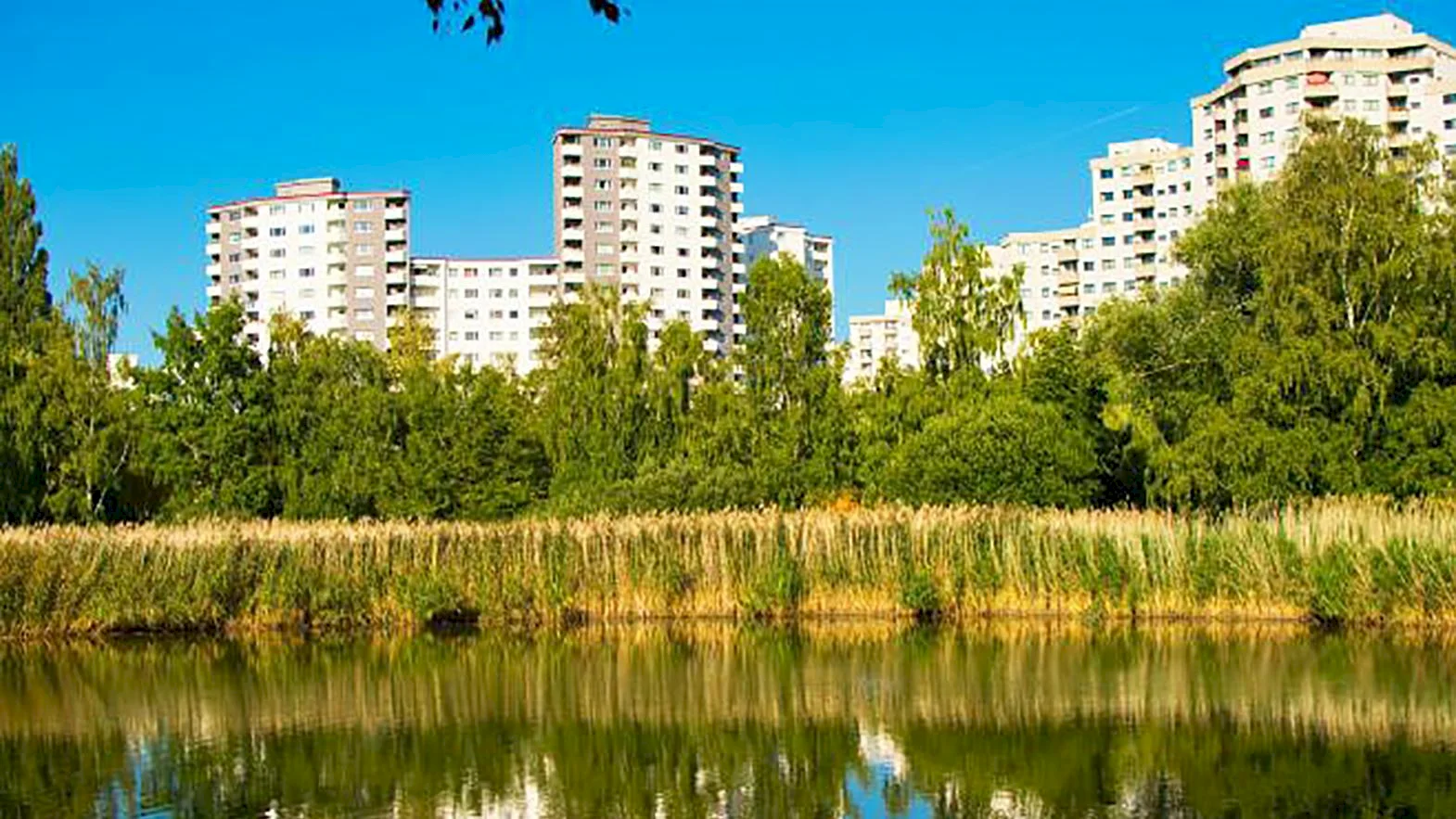 Hľadajú sa odborníci na zlepšenie životného prostredia v mestách a obciach