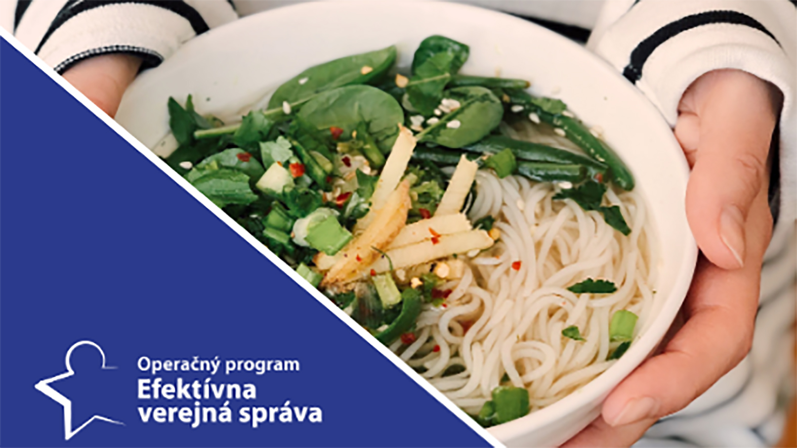 Newsletter ZMOS k príspevkom na stravovanie