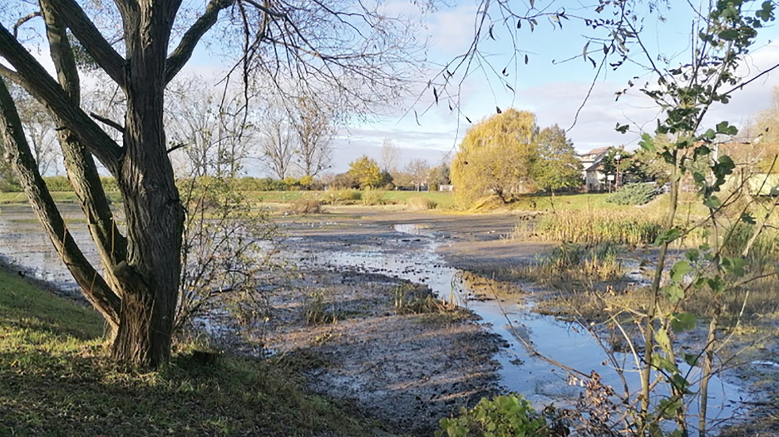 Rybník v Devínskej N. Vsi by sa mohol opäť využívať koncom leta