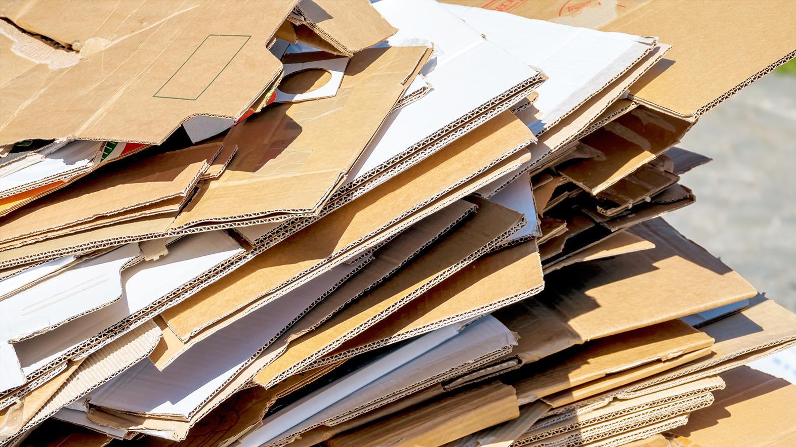 Seriál: Ako triedime (pripravujeme k recyklácii) papier?