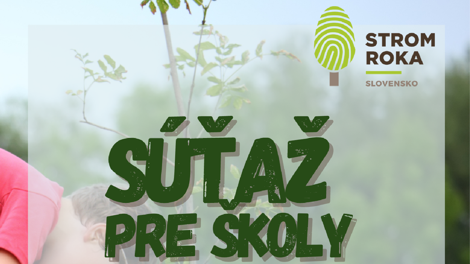 Už o týždeň odštartuje súťaž pre školy v ankete Strom roka