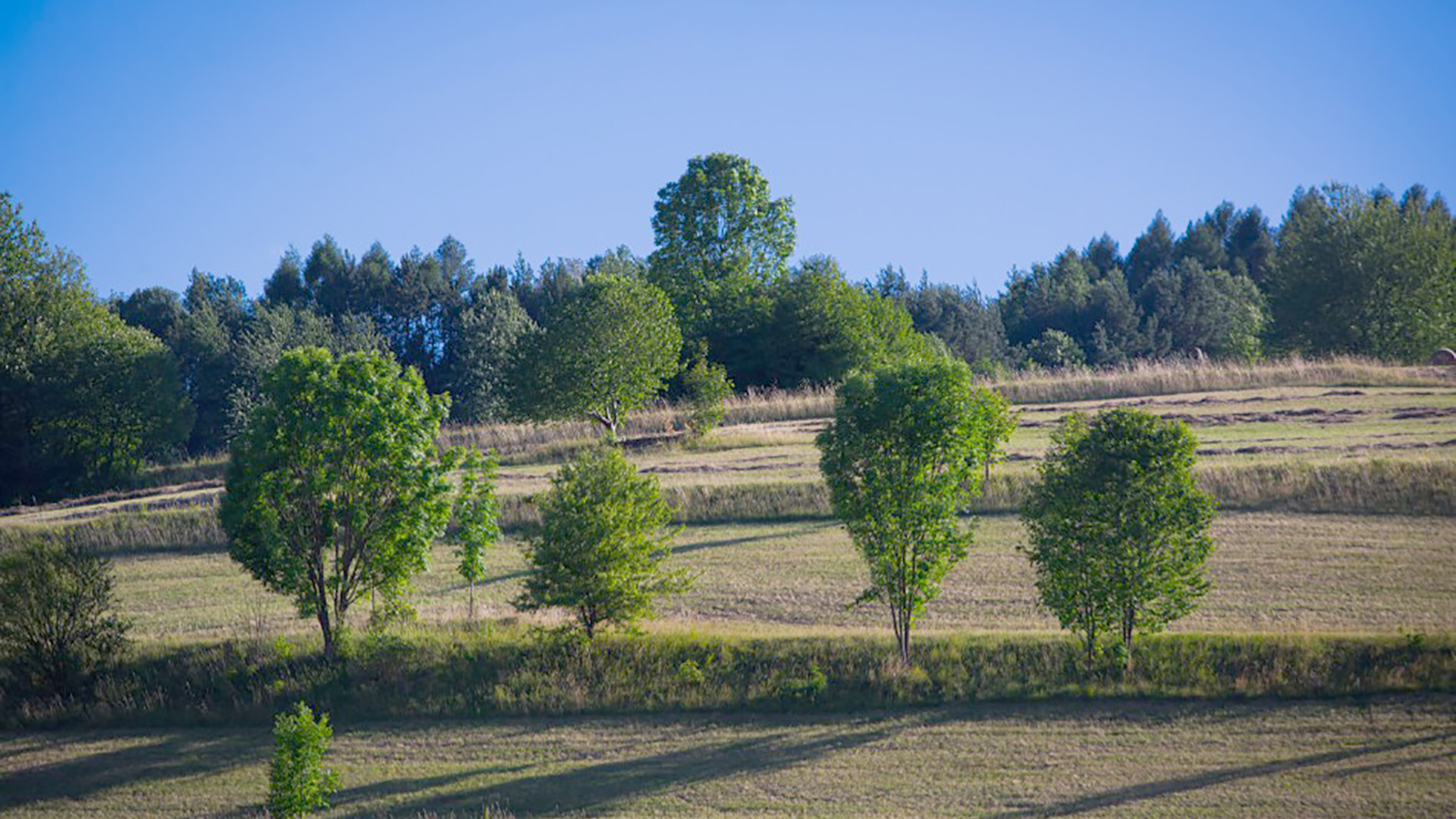 Kraj pripravuje opatrenia na zmiernenie zmien klímy