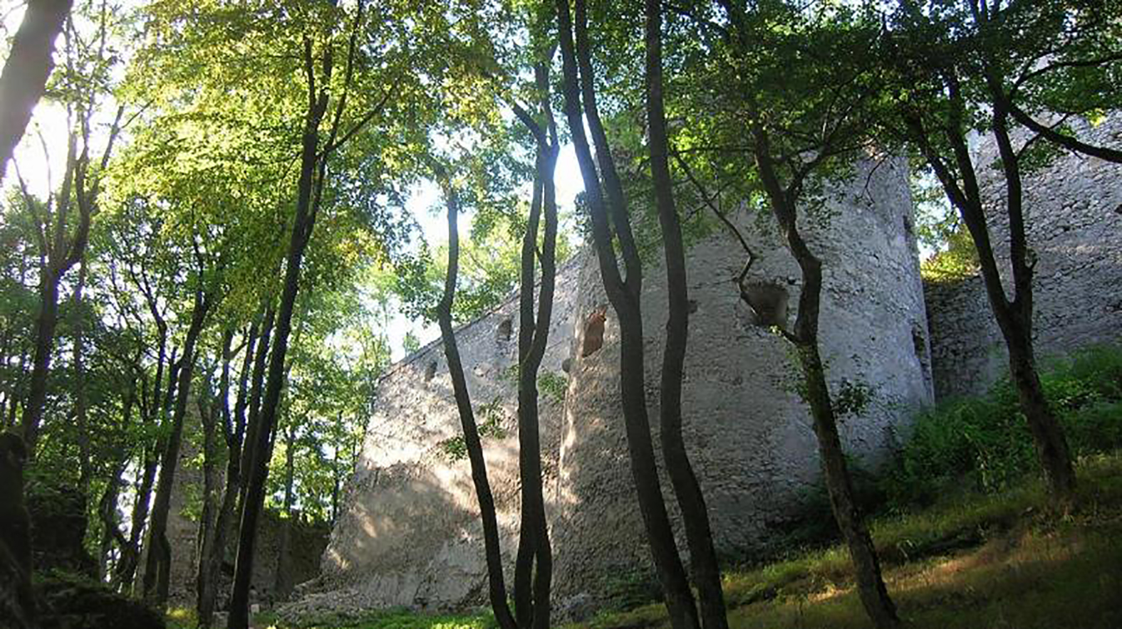Trnavský kraj otvoril výzvu na podporu regionálneho rozvoja
