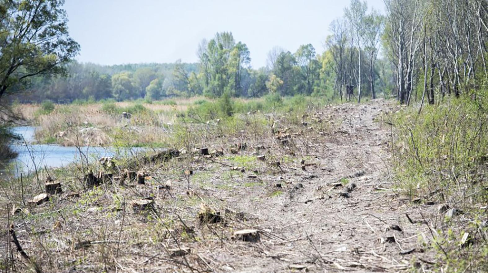MŽP podporuje zastavenie globálneho odlesňovania a znehodnocovania pôdy