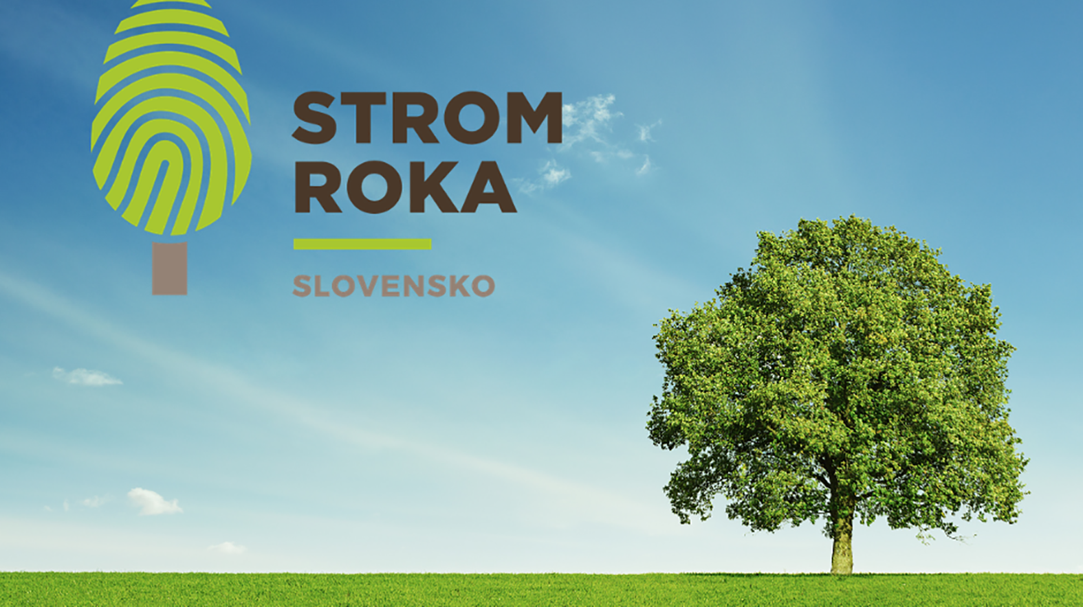 Výsledky ankety Strom roka 2021 vyhlásia 11. novembra v Kopčanoch