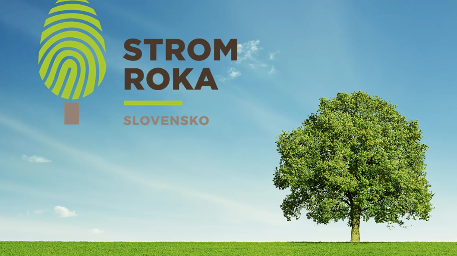 Výsledky ankety Strom roka 2021 vyhlásia 11. novembra v Kopčanoch