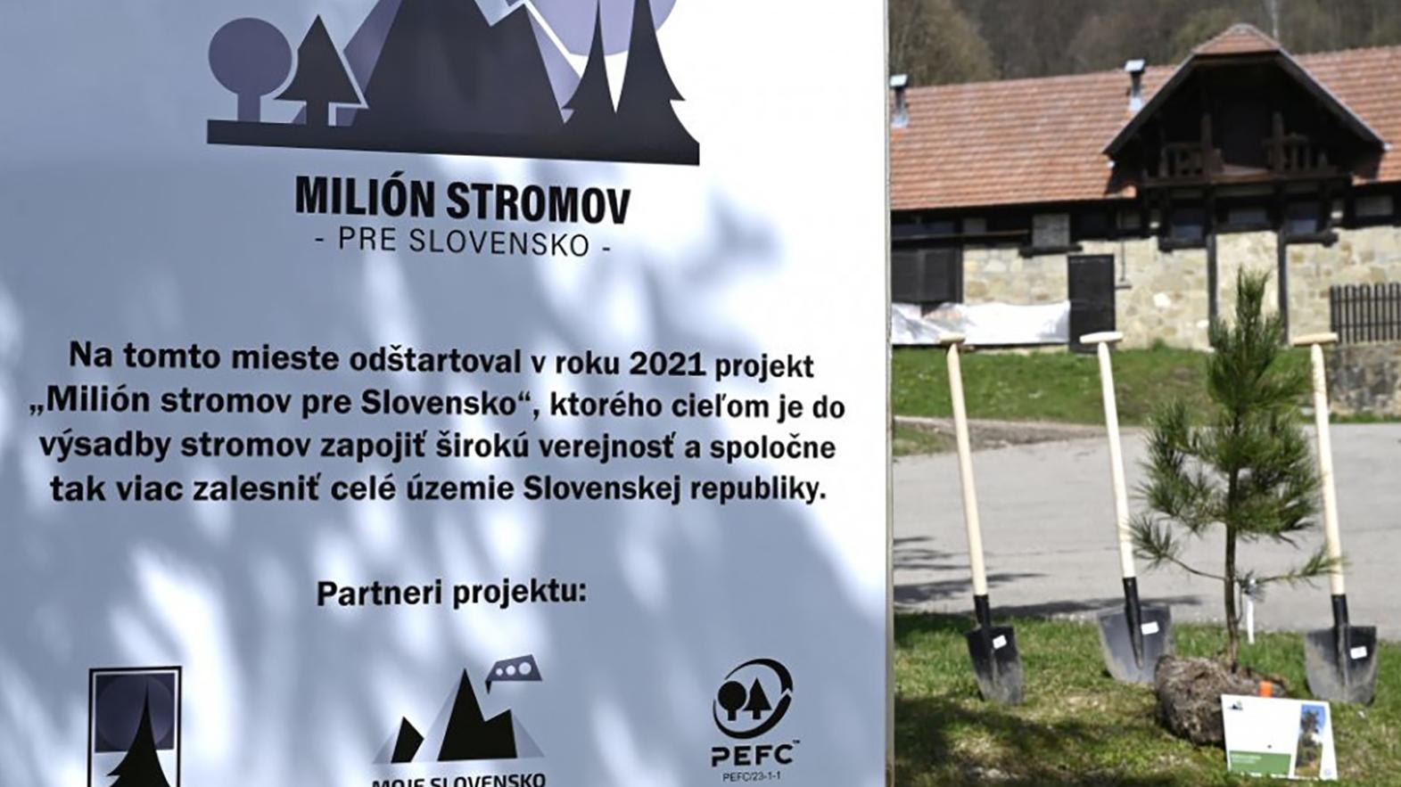 V projekte Milión stromov pre Slovensko vysadili viac ako 50 000 stromov